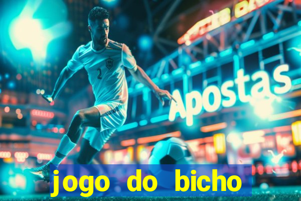 jogo do bicho crash bingo